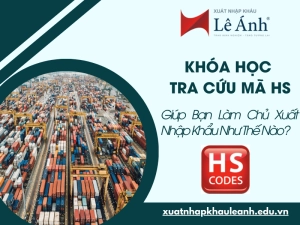khoa-hoc-tra-cuu-ma-hs-giup-ban-lam-chu-xuat-nhap-khau-nhu-the-nao.png