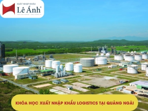 khoa-hoc-xuat-nhap-khau-tai-quang-ngai.png