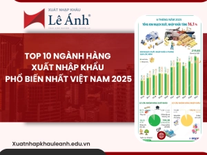 top-10-nganh-hang-xuat-nhap-khau-pho-bien-nhat-viet-nam.png